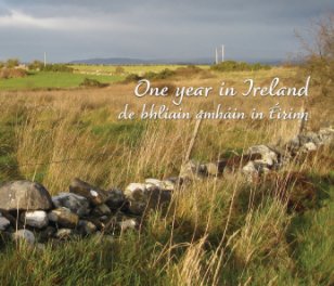 One Year in Ireland book cover