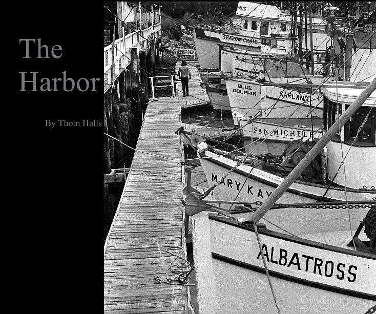 View The Harbor by Thom Halls