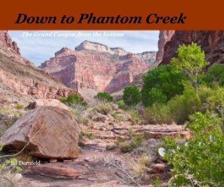 Down to Phantom Creek book cover