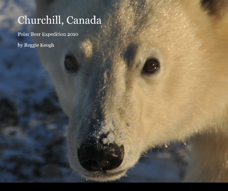 View Churchill, Canada by Reggie Keogh