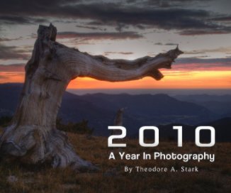 2010 - A Year In Photography book cover