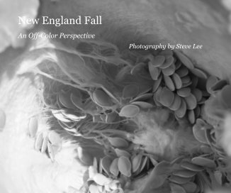 New England Fall book cover