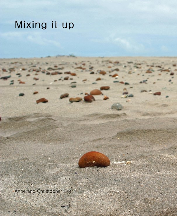 View Mixing it up by Anne and Christopher Corr