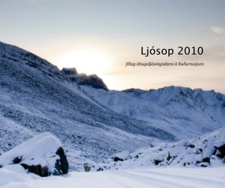 Ljósop 2010 book cover