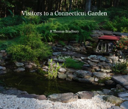 Visitors to a Connecticut Garden book cover
