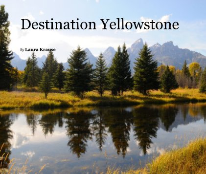 Destination Yellowstone book cover