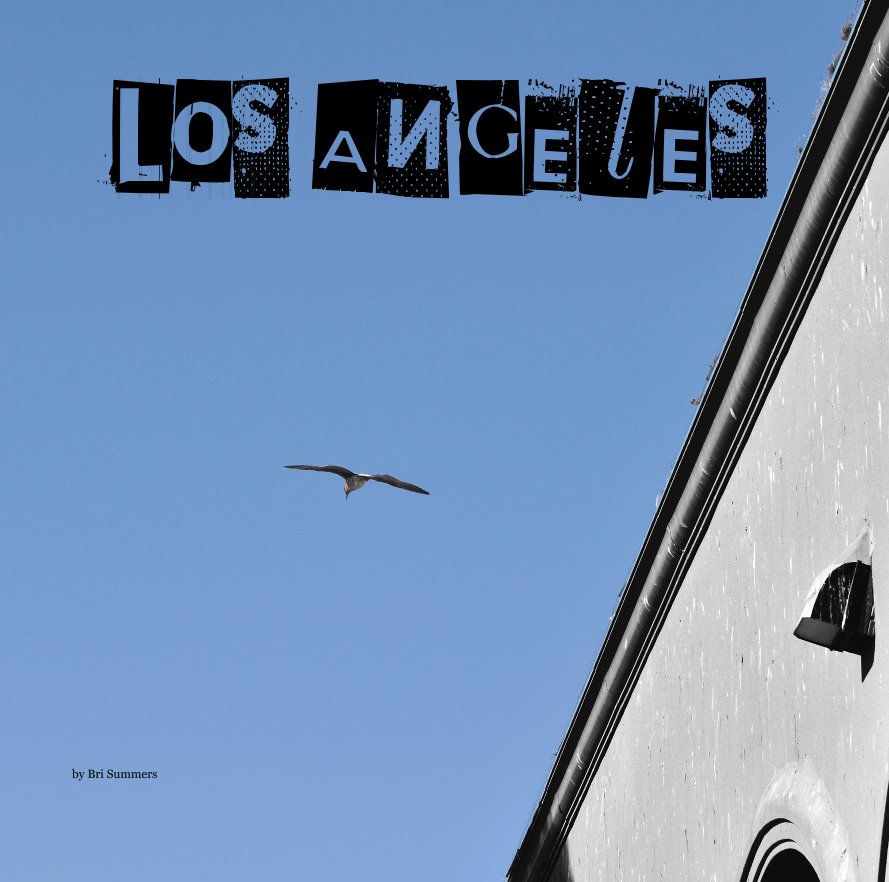 Ver Los Angeles por Bri Summers Photography