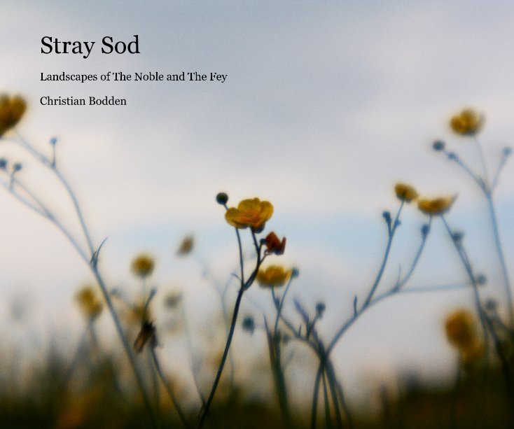 View Stray Sod by Christian Bodden