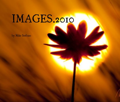 IMAGES.2010 book cover