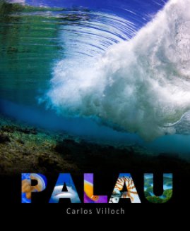 PALAU book cover