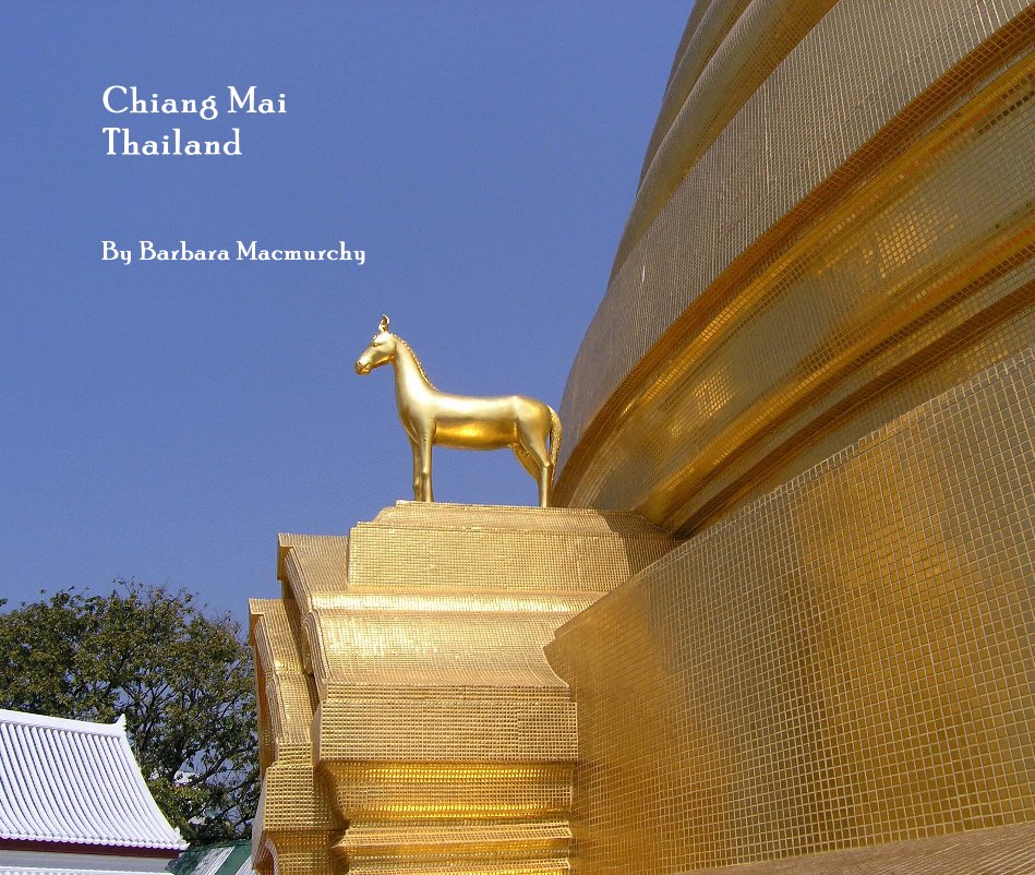 View Chiang Mai Thailand by Barbara Macmurchy