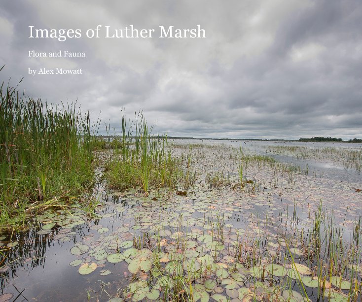 Ver Images of Luther Marsh por Alex Mowatt