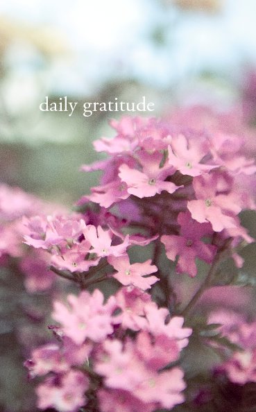 Ver daily gratitude por amy gretchen