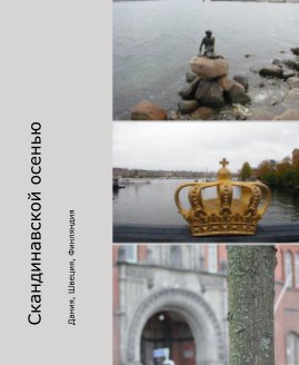 Скандинавской осенью book cover