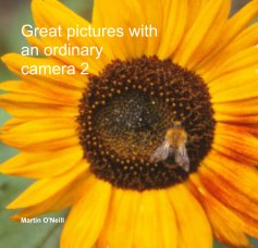 Great pictures with an ordinary camera 2 book cover
