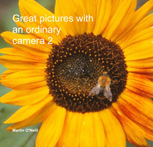 View Great pictures with an ordinary camera 2 by Martin O'Neill