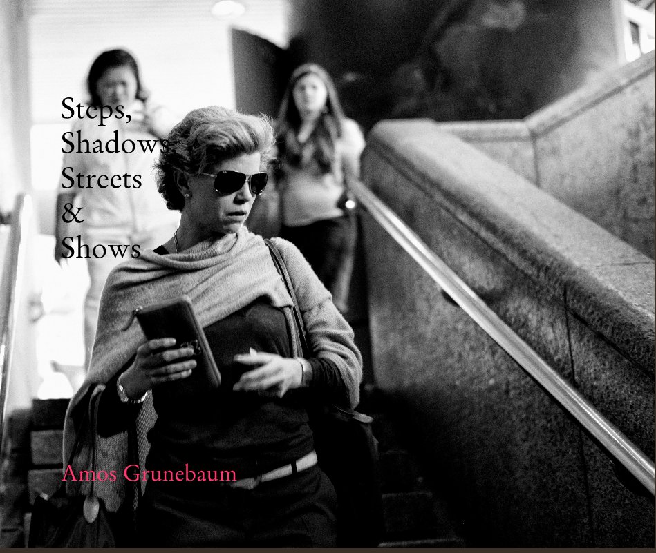 View Steps,  Shadows, Streets & Shows by Amos Grunebaum
