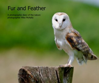 Fur and Feather book cover