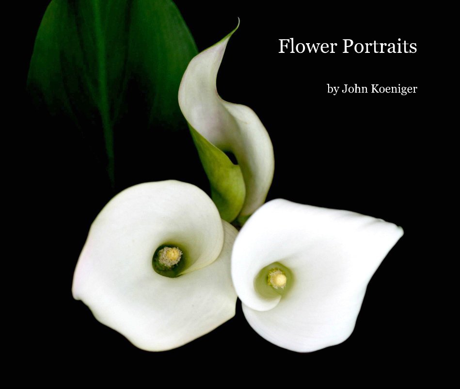 Ver Flower Portraits por John Koeniger