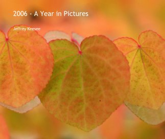 2006 - A Year in Pictures book cover