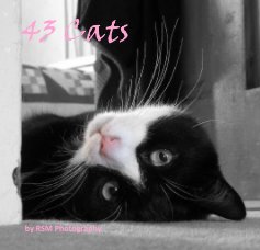 43 Cats book cover