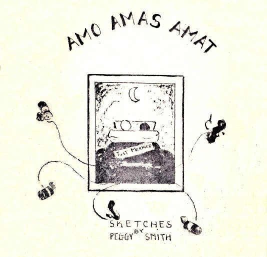 View Amo, Amas, Amat by Peggy Smith