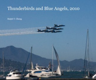Thunderbirds and Blue Angels, 2010 book cover