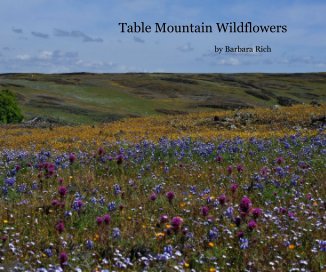Table Mountain Wildflowers book cover