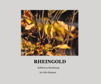 Rheingold book cover