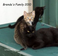 Brenda's Family 2010 book cover
