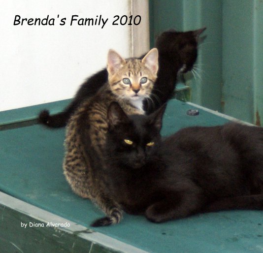 Bekijk Brenda's Family 2010 op Diana Alvarado
