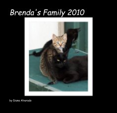 Brenda's Family 2010 book cover