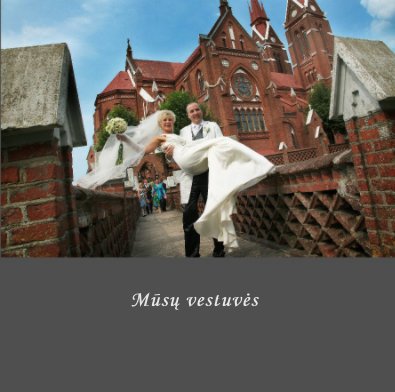 Daiva ir Vincent book cover