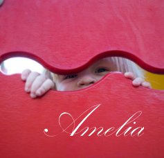 Amelia book cover