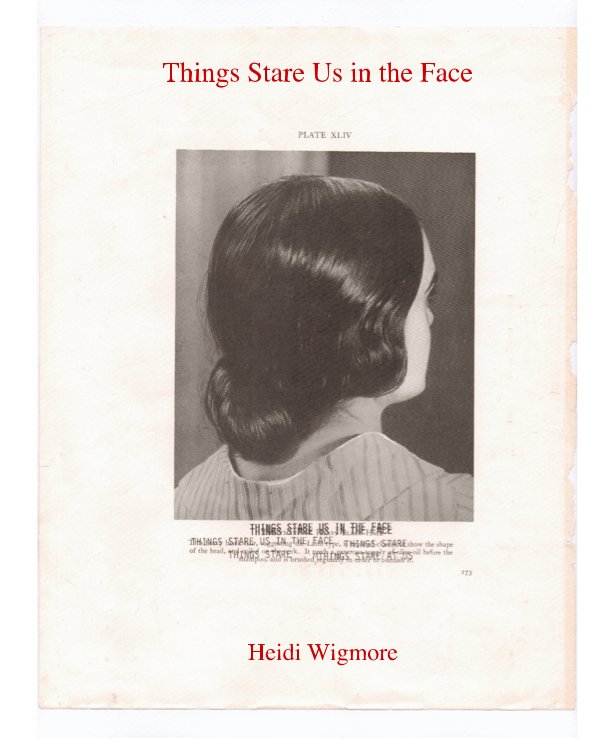 View Things Stare Us in the Face by Heidi Wigmore