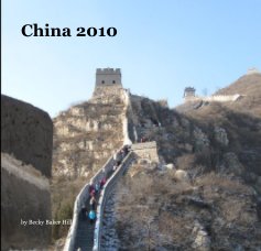 China 2010 book cover