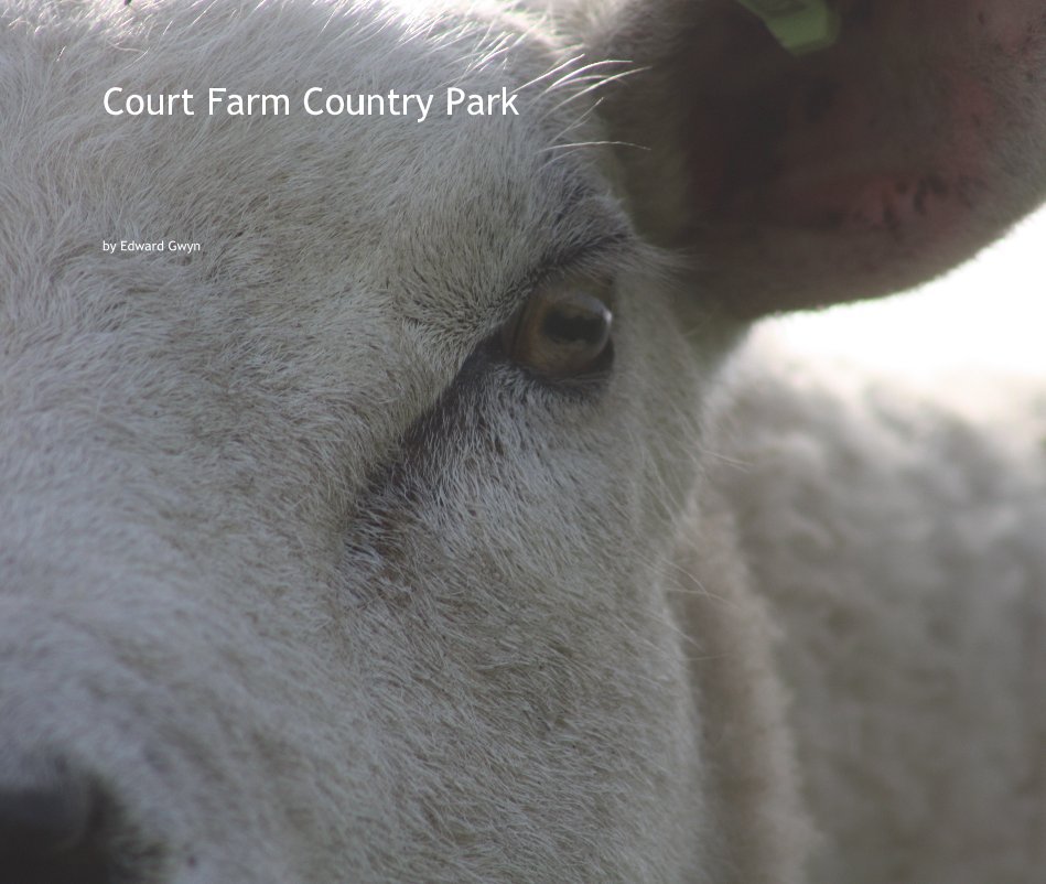 View Court Farm Country Park by Edward Gwyn