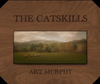 THE CATSKILLS book cover