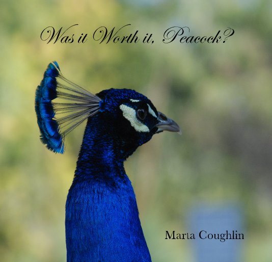 View Was it Worth it, Peacock? by Marta Coughlin