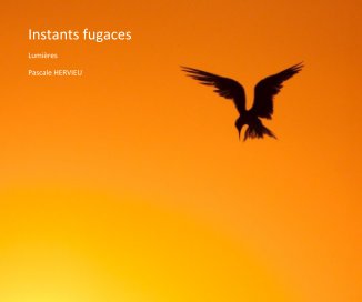 Instants fugaces book cover