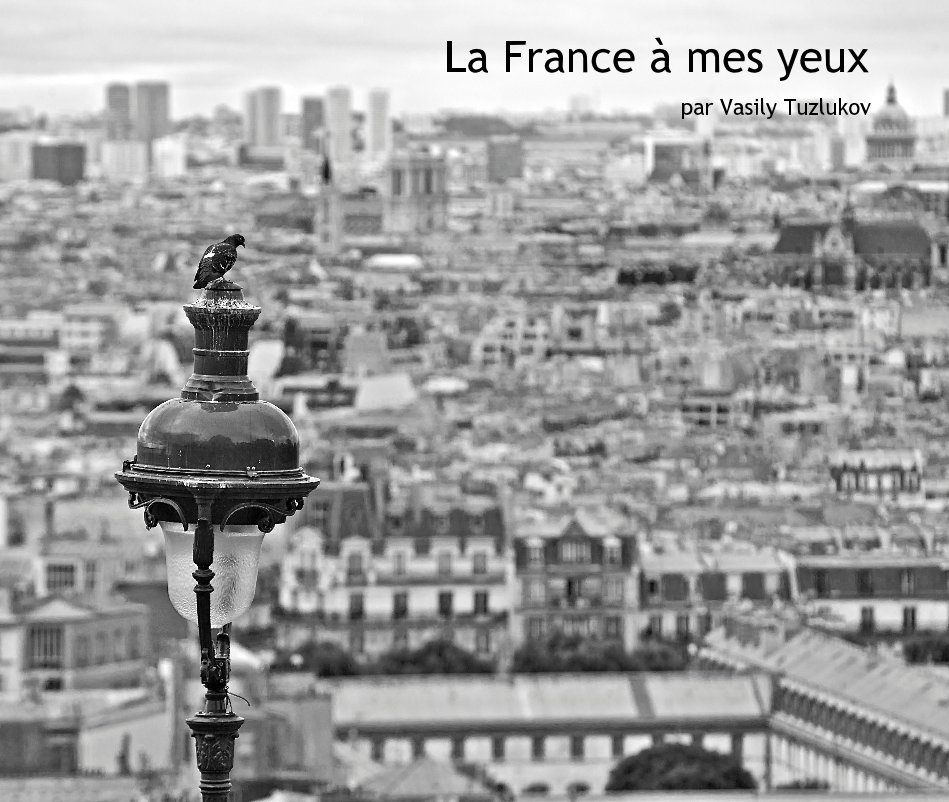 View La France à mes yeux by Vasily Tuzlukov