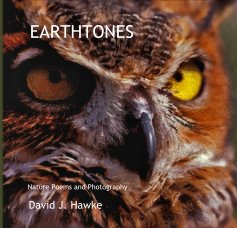 EARTHTONES book cover