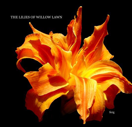 View THE LILIES OF WILLOW LAWN by ferg