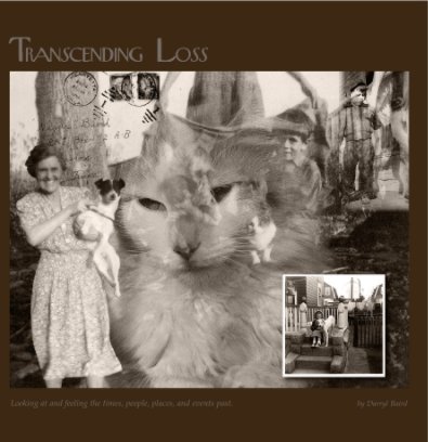 Transcending Loss. Revision book cover