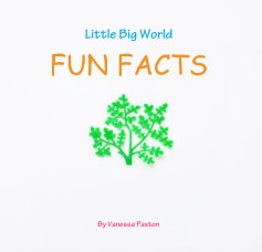 Little Big World FUN FACTS book cover