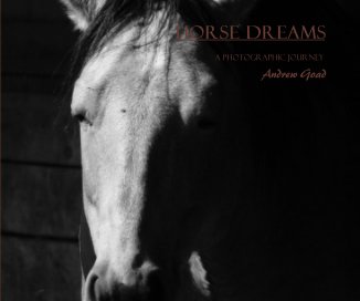 Horse Dreams book cover