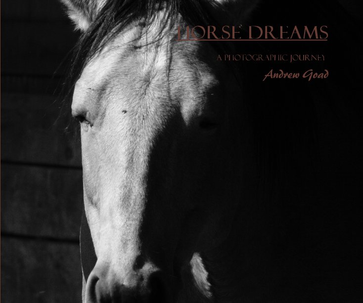 View Horse Dreams by Andrew Goad