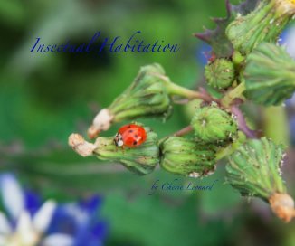 Insectual Habitation book cover