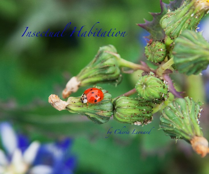 View Insectual Habitation by Cherie Leonard