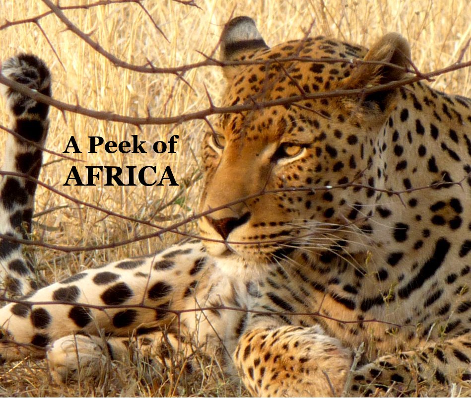View A Peek of AFRICA by Bunkalls